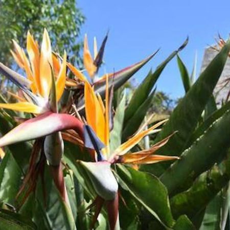 Апартаменты Le Strelitzia 2 Силао Экстерьер фото